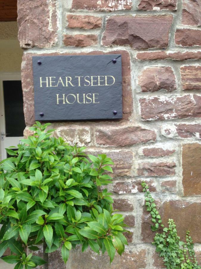 Heartseed House Bed & Breakfast Dornoch Kültér fotó